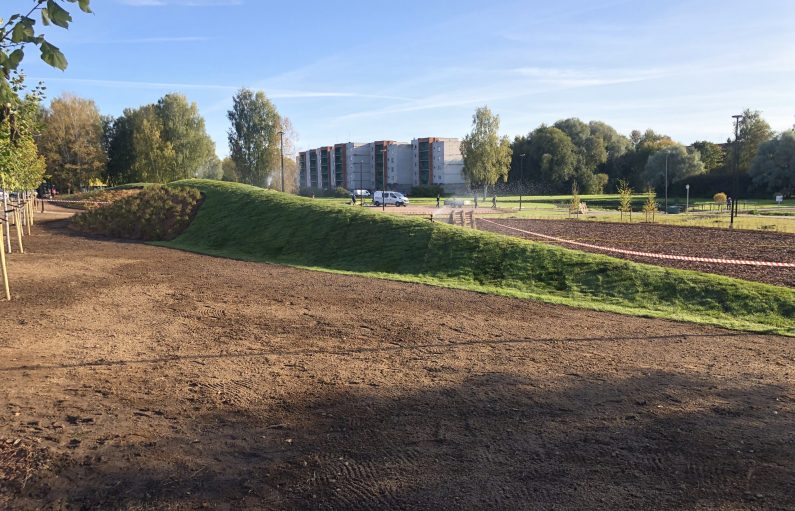5-Võru koreli